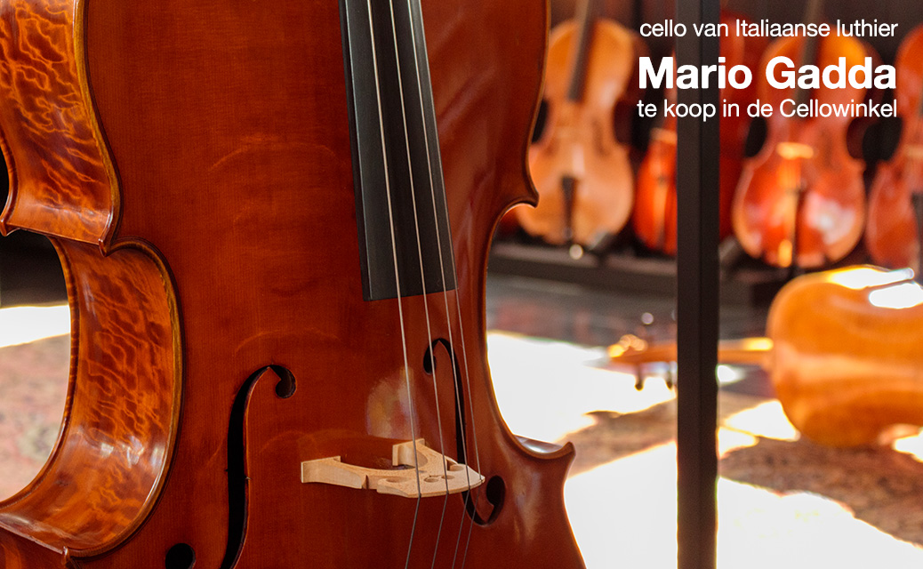 Cello Mario Gadda te koop in de Cellowinkel Dieren