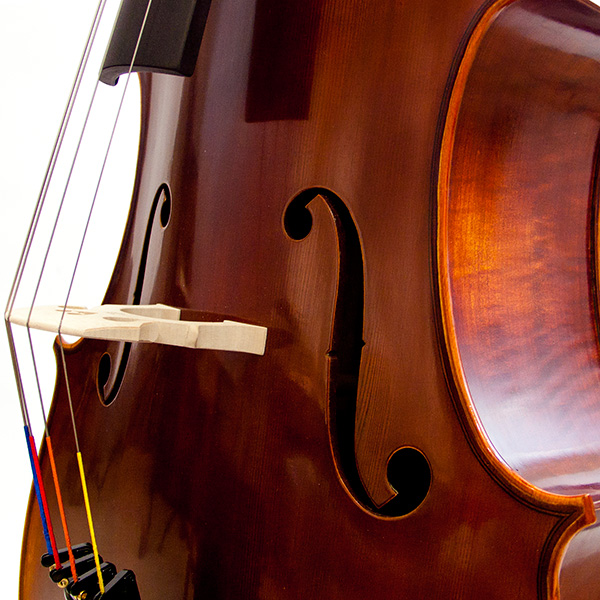 Cello 'Student'