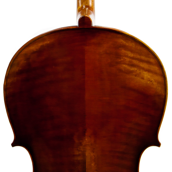 Cello 'Avant-Garde' cellowinkel.nl