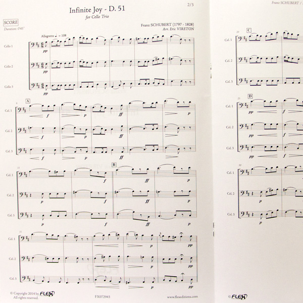 Franz Schubert Infinite Joy d.51 cello trio
