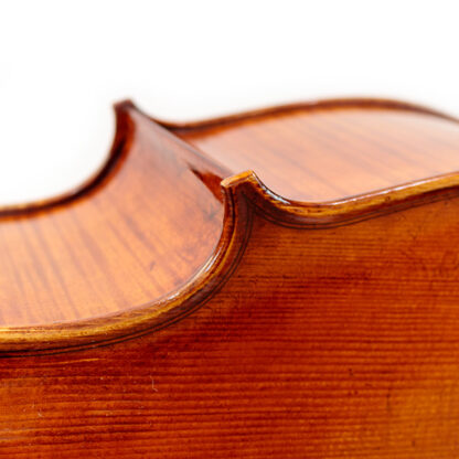 Cello Emiliani Eastman Cellowinkel