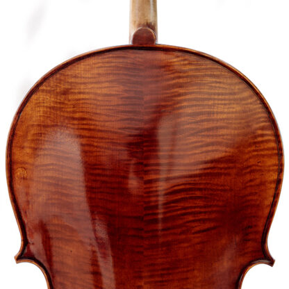 Gevlamd achterblad Cello Allievo