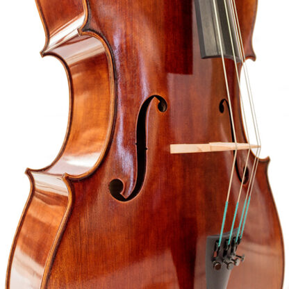f-gaten Cello Allievo