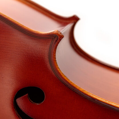 Detail Cello Principiante Cellowinkel