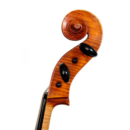 Cello Franciscus Podlaha Cellowinkel te koop