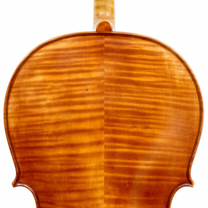 Cello 4/4 Heinrich Gill Carcassi model detail achterblad schouders