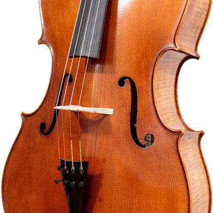 Cello 4/4 Heinrich Gill Carcassi model detail voorblad