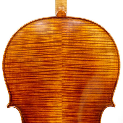 Cello 4/4 Heinrich Gill Rugeri model detail achterblad en schouders