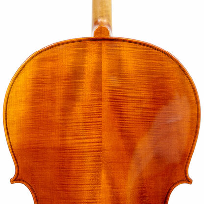 Cello Heinrich Gill W1 Stradivarius model detail achterblad en schouders
