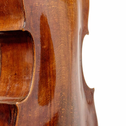 Cello door T. Perry & W. Wilkinson (Dublin, Ierland, 1808) detail achterblad welving