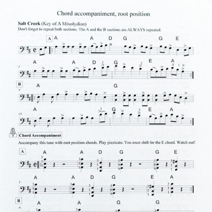 Cello Chords, Rhythms and Backups for Fiddle Tunes - Renata Bratt - online audio mp3